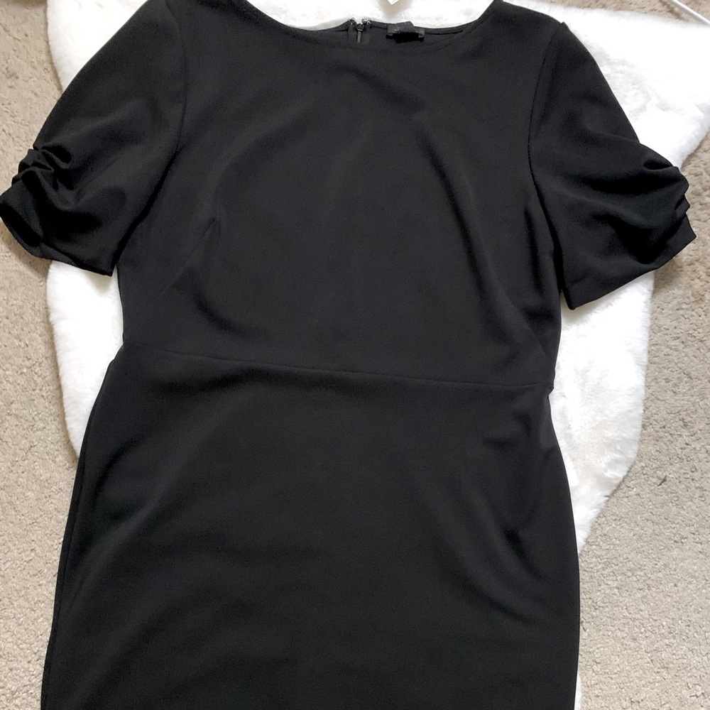Anne Taylor dress